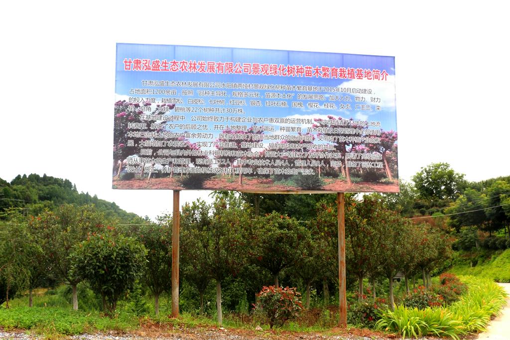 ʢrֹ˾衰ЇBƷ^@˜ʻʾءQ̖